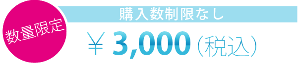 数量限定 購入数制限なし ￥3,000（税込）