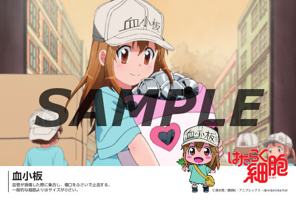 はたらく細胞 Aniplex アニプレックス オフィシャルサイト